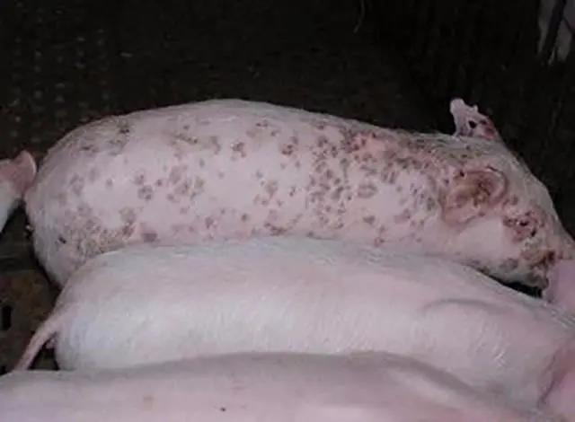 微信圖片_20210422161429