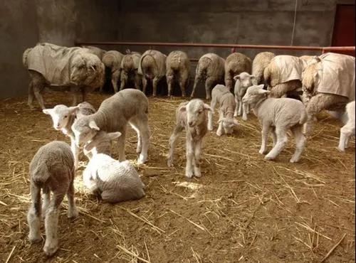 微信圖片_20210522114838