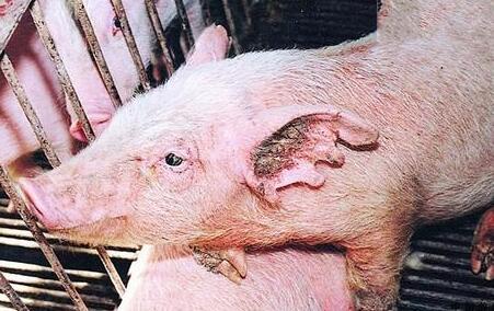 u=499096715,2892238949&fm=26&gp=0 u=499096715,2892238949&fm=26&gp=0