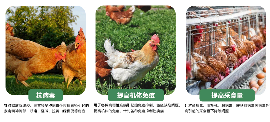 怡康 產(chǎn)品功效