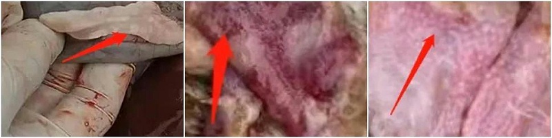 微信圖片_20210709101934