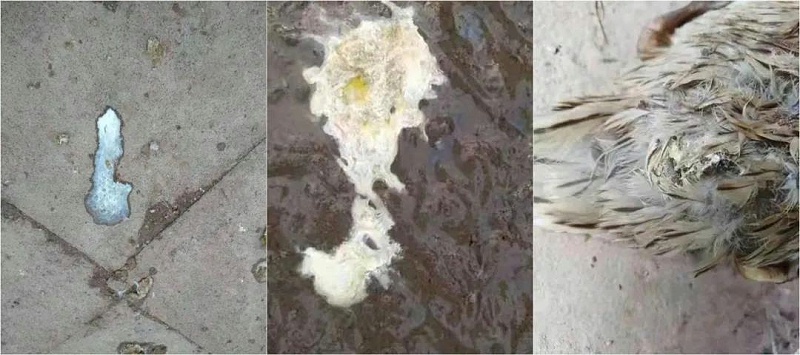 微信圖片_20210405141805