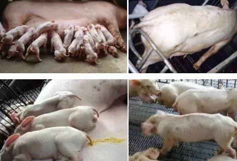 微信圖片_20210717103611