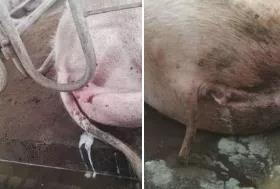 微信圖片_20210717103631