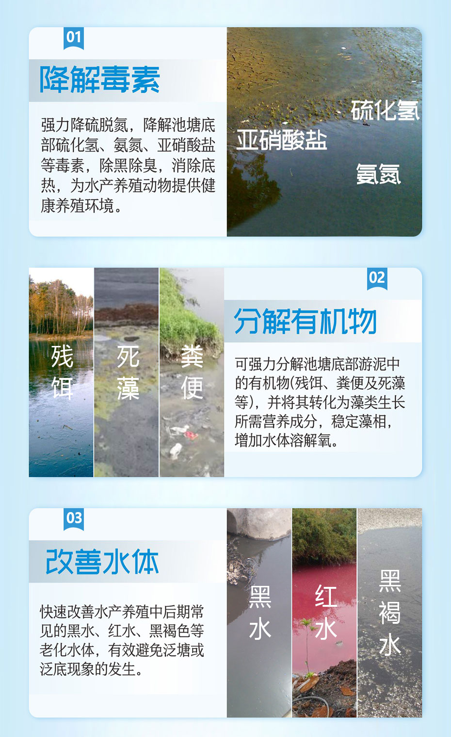 水產(chǎn)養(yǎng)殖生物改底飼料添加劑強(qiáng)生源