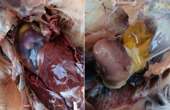 微信圖片_20210706161036