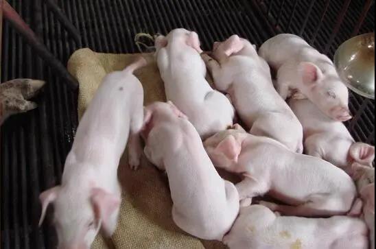 微信圖片_20210507151124