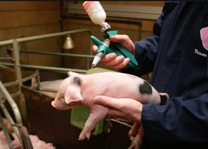 微信截圖_20220331114609