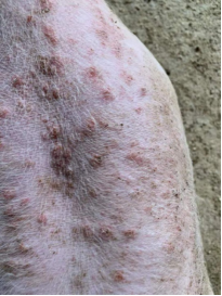 微信圖片_20210605174323