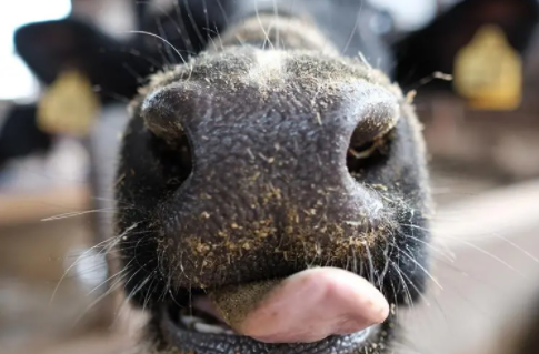 d95f1daecf2a1cdbc1ebecb2912ccc9 d95f1daecf2a1cdbc1ebecb2912ccc9