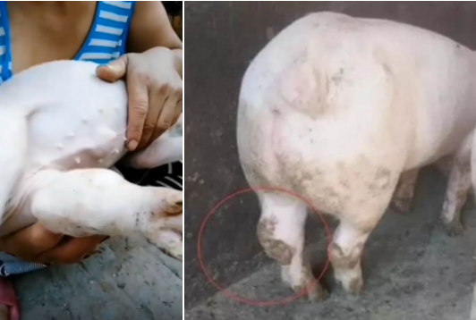 微信圖片_20210324105134