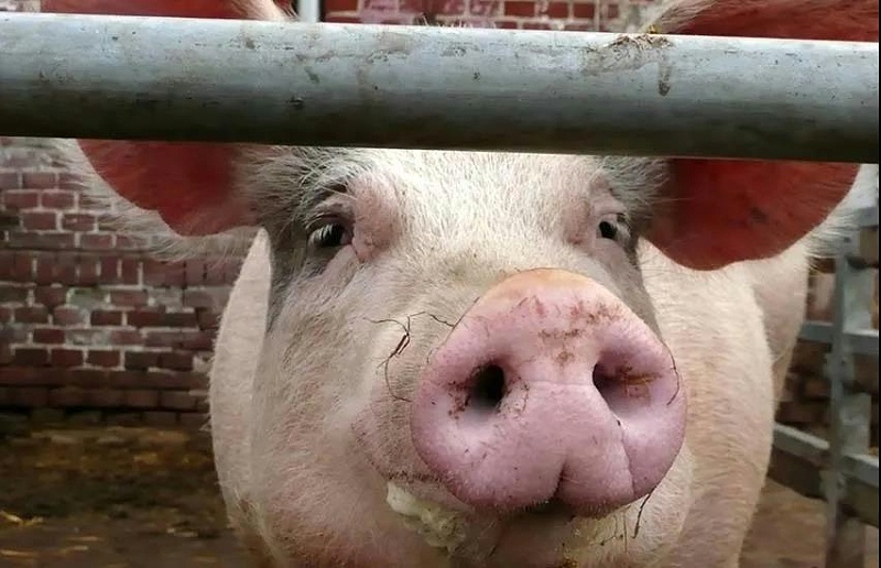 微信圖片_20210530150815