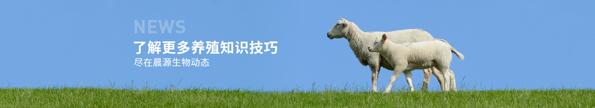 了解更多養殖知識技巧 盡在晨源生物動態