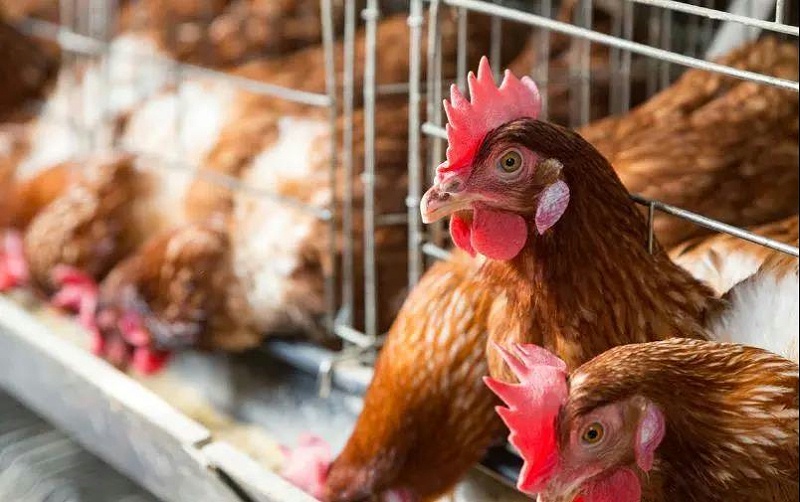 微信圖片_20210316150727