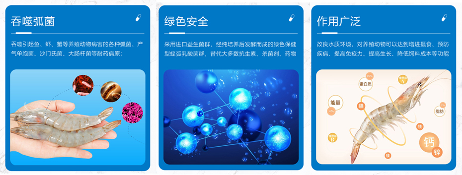 水產養殖產品弧菌清產品功效