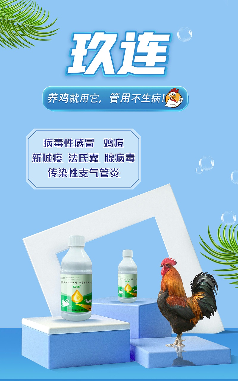 玖連3(1) 玖連3(1)