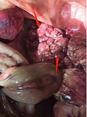 微信圖片_20220407151003 微信圖片_20220407151003