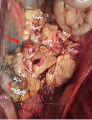 微信圖片_202204071510031 微信圖片_202204071510031