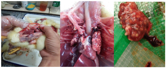 QQ截圖20210720164052