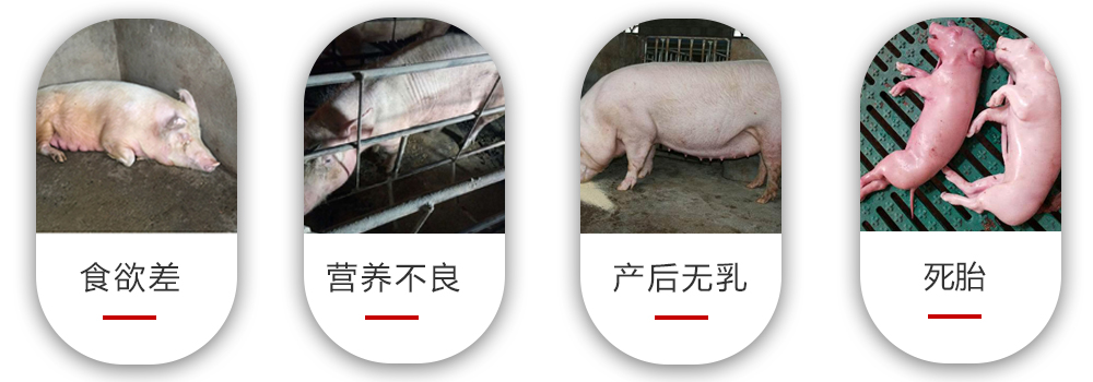 常見的養(yǎng)殖問題